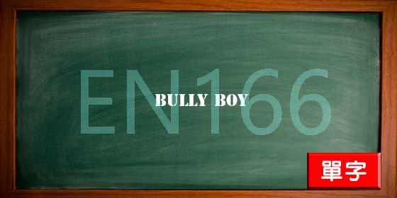 uploads/bully boy.jpg